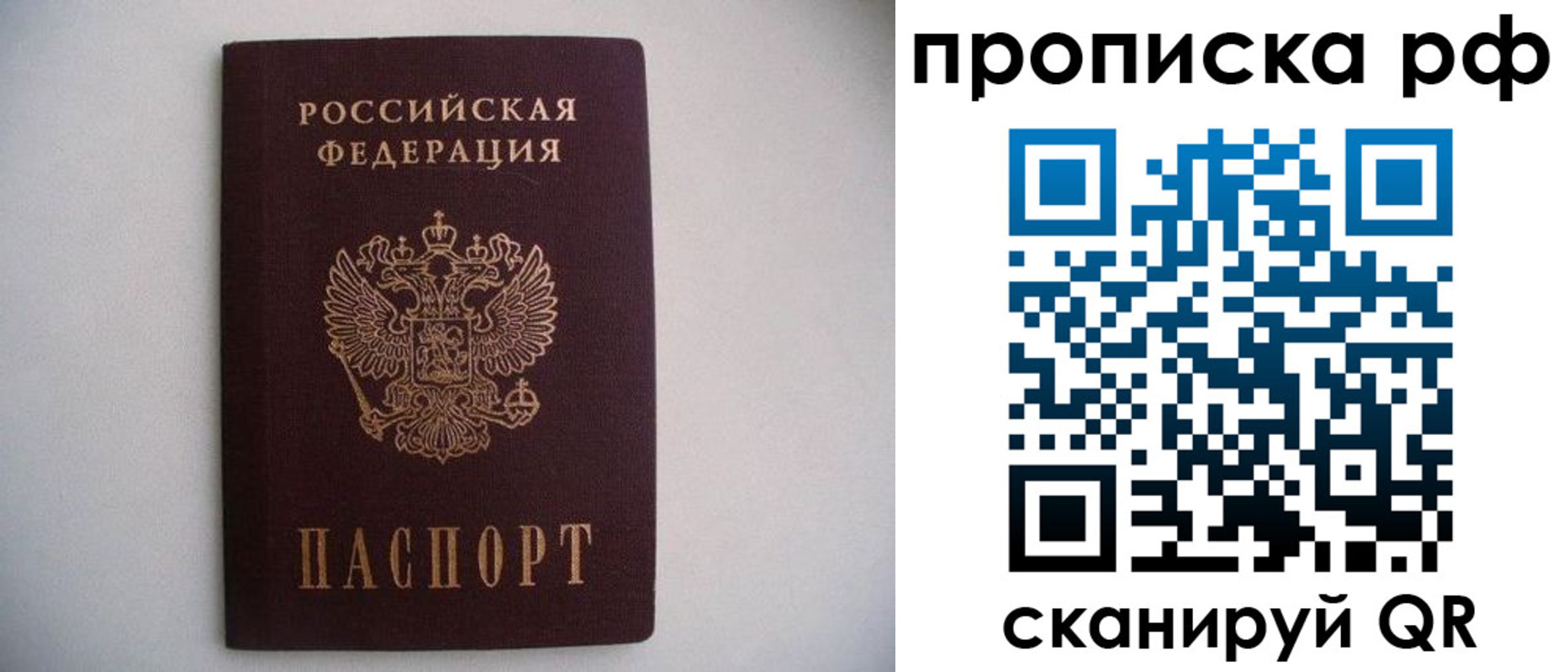 временная регистрация гарантия в Палласовке