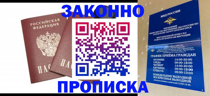 прописка гарантия в Палласовке